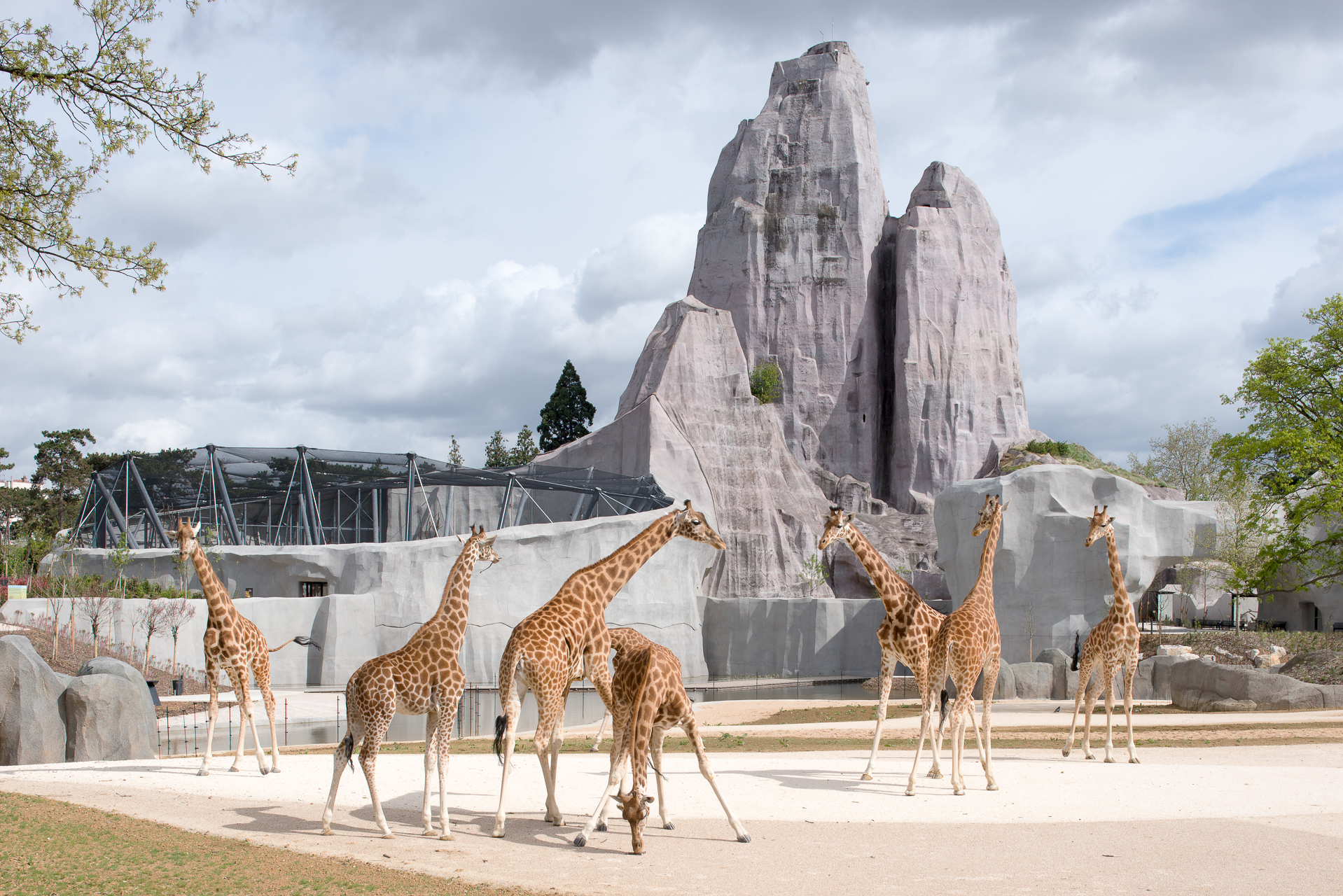 zoo de Vincennes ©Martin Argyroglo